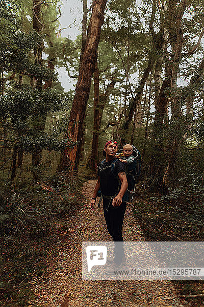 Wanderer mit Baby erkundet Wald  Queenstown  Canterbury  Neuseeland