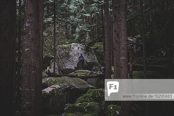 Kletterfelsen im Wald  Squamish  Kanada