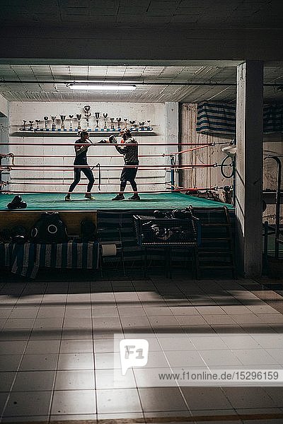 Boxer sparring with trainer in boxing ring