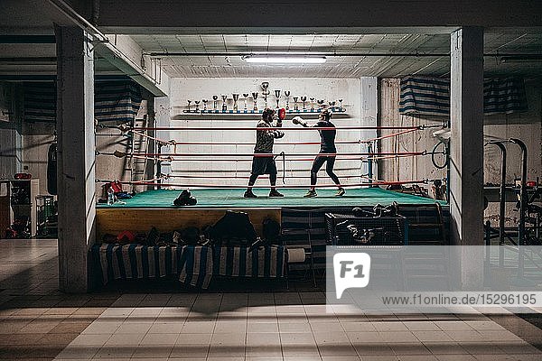 Boxer sparring with trainer in boxing ring
