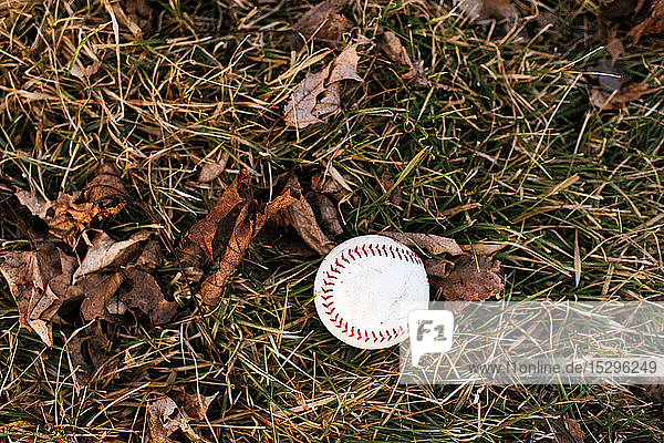 Baseballball auf feuchtem Gras mit Herbstlaub Draufsicht