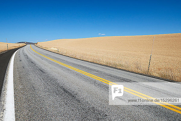 Weizenfeld entlang der Straße auf dem Land  Gespannt  Idaho  Vereinigte Staaten