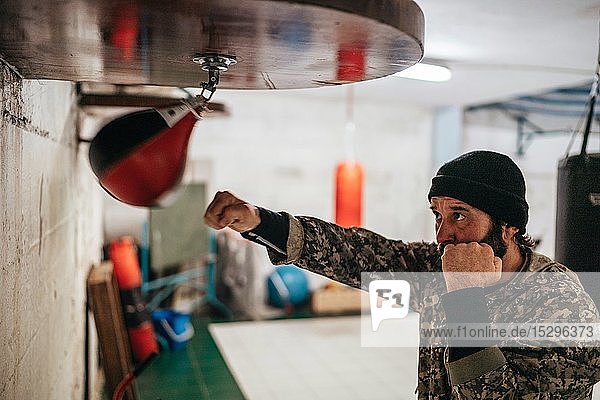 Boxer training with punch bag in gym