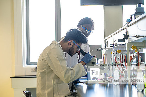 Junge Wissenschaftlerinnen und Wissenschaftler schauen im Labor durch das Mikroskop