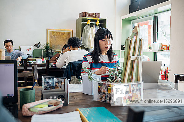 Junge Geschäftsfrau betrachtet Laptop im Cafe