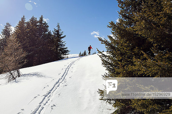 Männlicher Schneeschuhwanderer in schneebedeckter Berglandschaft  Fernsicht von hinten  Steiermark  Tirol  Österreich