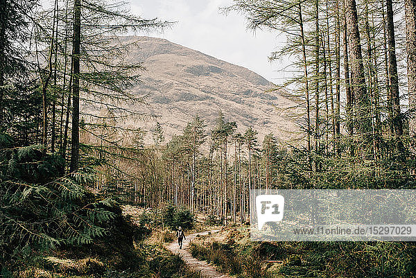 Woman walking through forest  Trossachs National Park  Canada