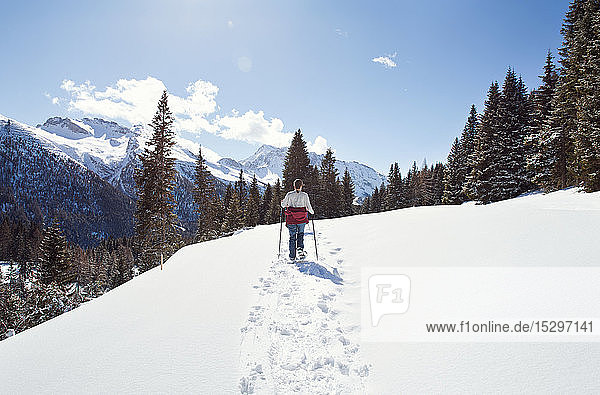 Teenager-Mädchen beim Schneeschuhwandern in schneebedeckter Berglandschaft  Rückansicht  Steiermark  Tirol  Österreich