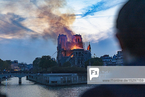 Mann beobachtet das Feuer von Notre-Dame de Paris aus der Ferne  Paris  Ile-de-France  Frankreich