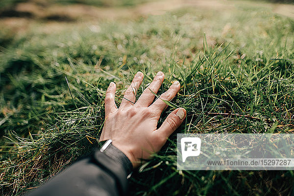 Hand feeling grass