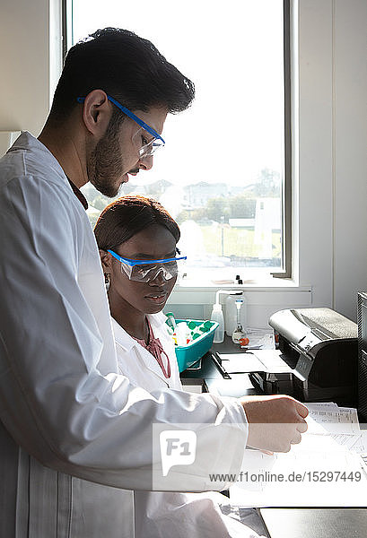 Junge Wissenschaftlerinnen und Wissenschaftler sehen sich Papierkram im Labor an