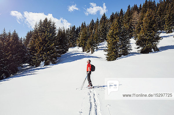 Ausgewachsener männlicher Schneeschuhläufer schaut aus schneebedeckter Berglandschaft auf  Steiermark  Tirol  Österreich