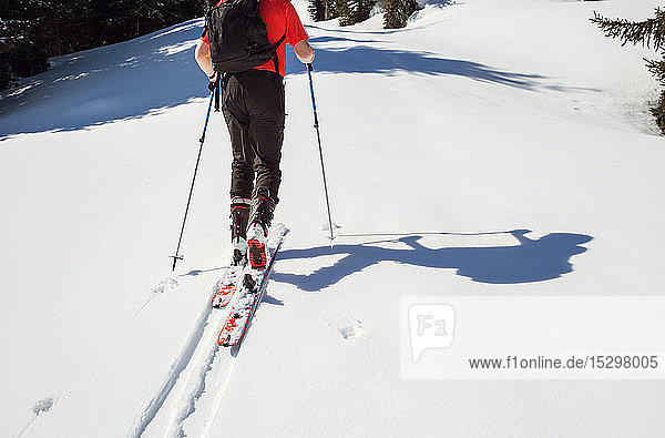 Erwachsener männlicher Skifahrer bewegt sich in schneebedecktem Berg aufwärts  Hals abwärts Rückenansicht  Steiermark  Tirol  Österreich