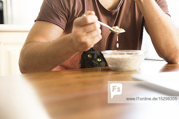 Black cat watching man eating muesli