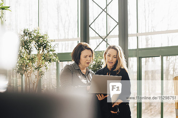 Serious businesswomen planning over laptop while standing in office corridor