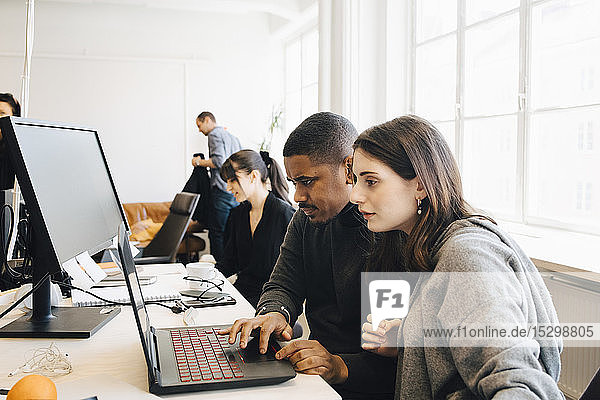 Fokussierte Software-Programmierer  die auf einem Laptop programmieren  während sie im Büro sitzen