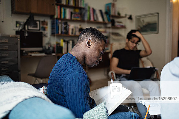 Fleißige männliche Freunde machen Hausaufgaben  während sie im Wohnzimmer sitzen