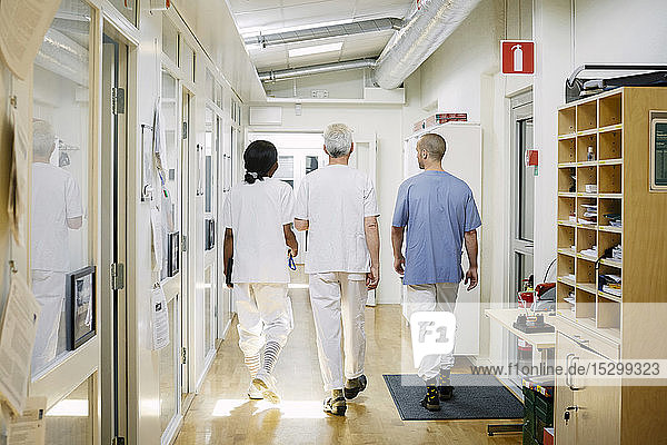 Rückansicht von Mitarbeitern im Gesundheitswesen  die im beleuchteten Korridor des Krankenhauses gehen