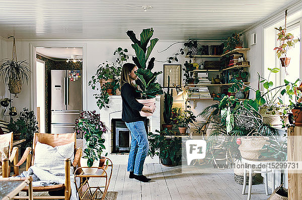 Full length side view of woman carrying potted plant at home