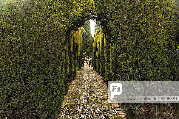 Generalife-Gärten in der Alhambra  Granada  Spanien