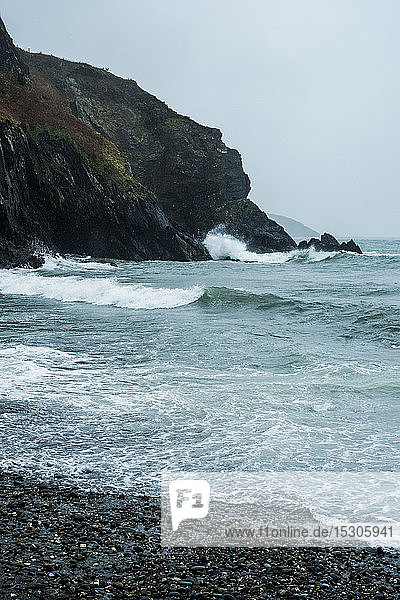 Blick entlang der zerklüfteten Küstenlinie des Pembrokeshire National Park  Wales  Großbritannien.