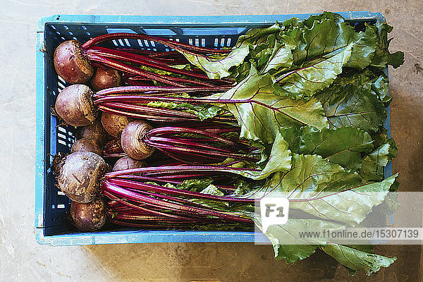View from above organic beets and beetroot in crate