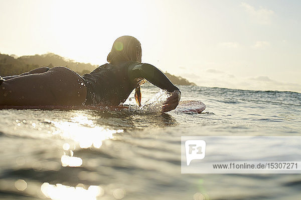 Weibliche Surferin paddelt auf dem sonnigen Meer bei Sonnenuntergang