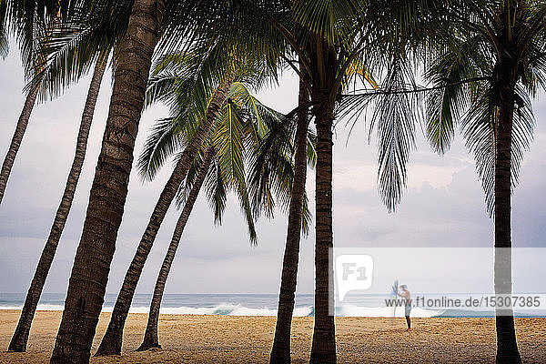 Männlicher Surfer mit Surfbrett am tropischen Strand mit Palmen  San Pancho  Nayarit  Mexiko