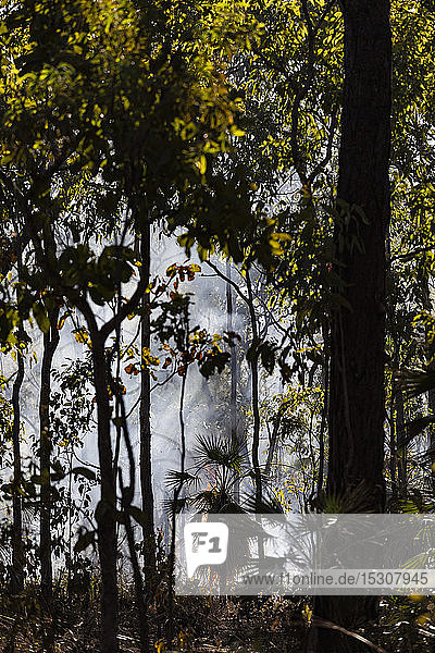 Vorbeugende Brandbekämpfung in tropischen Wäldern  Kakadu National Park  Australien