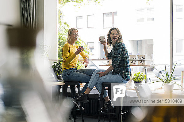 Zwei Freundinnen sitzen im Café  amüsieren sich  trinken Kaffee