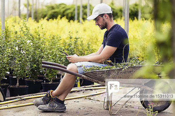 Young man taking a break and texting with smartphone in the greenhouse