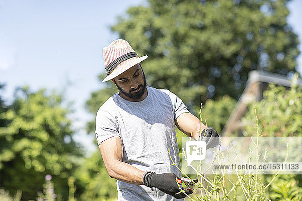 Bearded young man pruning twigs in the garden