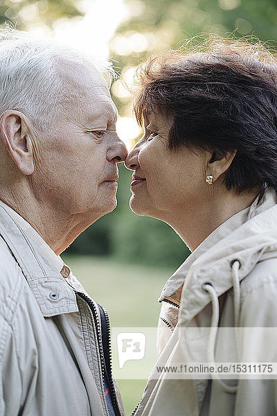Profil eines älteren Paares  das sich die Nasen reibt