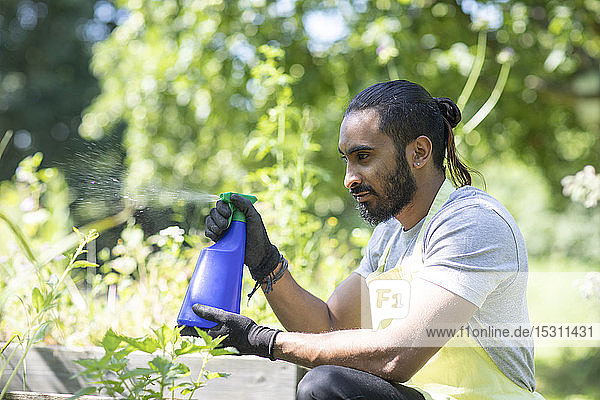 Bearded young man spraying plants in the garden