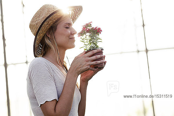 Hübsche junge Frau riecht nach Blumen im Gewächshaus