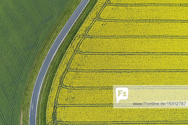 Abstraktes Luftbild einer Landstraße durch landwirtschaftliche Felder mit Ölraps- und Grünweizenfeld  Franken  Bayern  Deutschland
