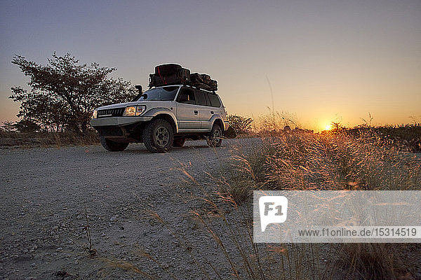 Off-road vehicle driving on a dirt road at sunrise  Makgadikgadi Pans  Botswana