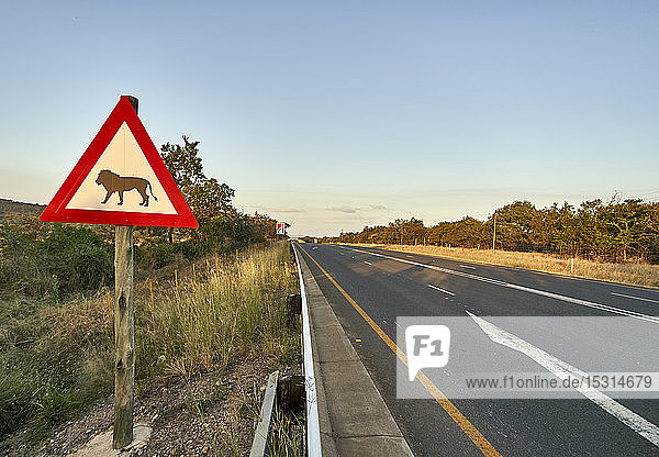 Beware of lions sign at the roadside  Marloth Park  South Africa