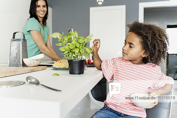 Girl cooking with mother in kitchen plucking basil leaves