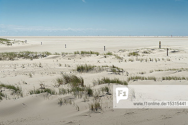 Deutschland Schleswig-Holstein Sankt Peter-Ording Sandstrand