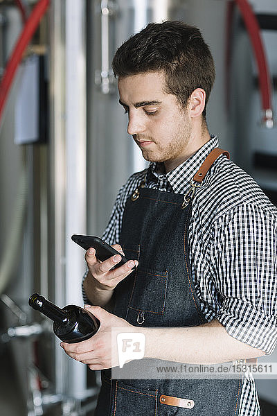 Young man holding smartphone and beer bottle at a brewery