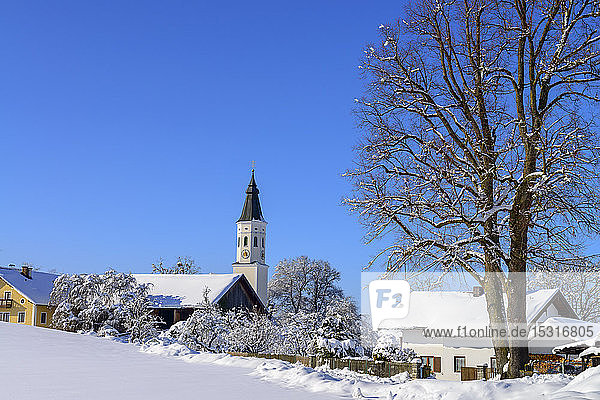 Kirche in schneebedeckter Landschaft und kahler Baum vor blauem Himmel