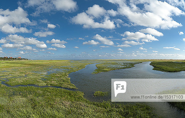 Deutschland Schleswig-Holstein Sankt Peter-Ording Salzwiese bei Flut