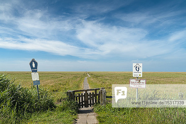 Deutschland Schleswig-Holstein Sankt Peter-Ording Blick vom Deich auf die Salzwiese