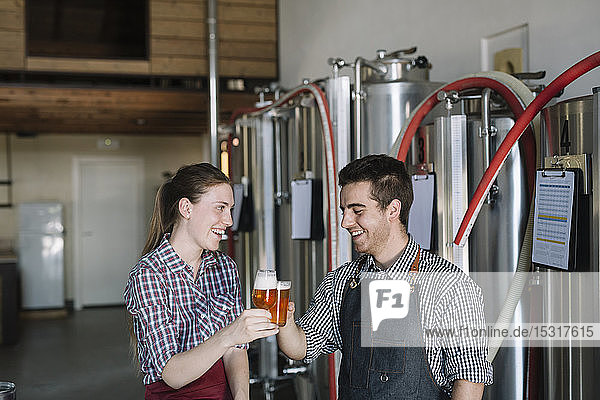 Glückliche Jungunternehmer in einer Brauerei  die mit Biergläsern anstoßen