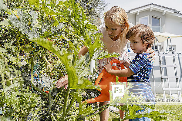 Mother and son watering plants in garden