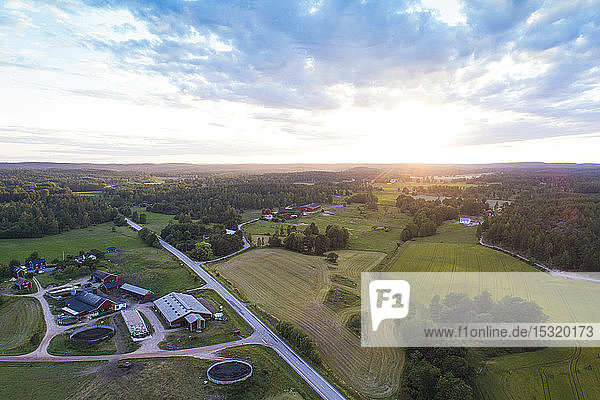 Luftaufnahme von Feldern und Straße vor Sonnenuntergang im Sommer  Vaestervik  Schweden