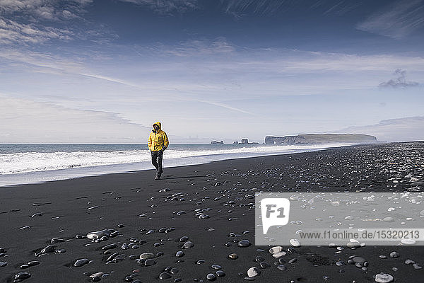 Mature man walking on a lava beach in Iceland