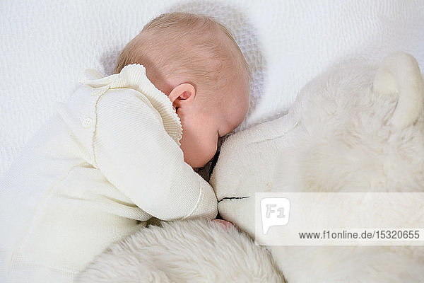 Kleiner Säugling in weißem Schlafanzug von 2 Monaten schläft auf einem weißen Bettchen Nase an Nase mit seinem großen Teddybär.