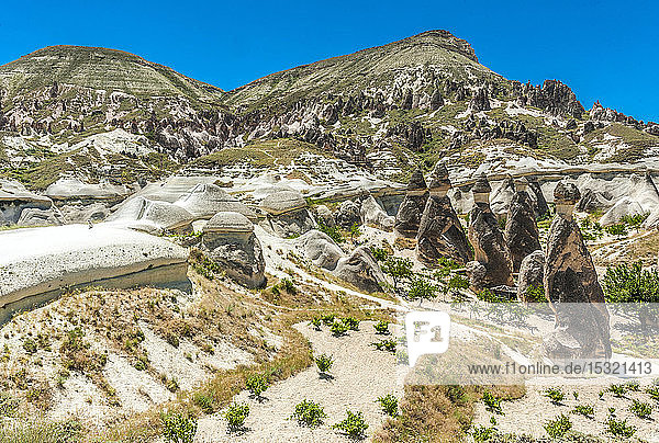 Türkei  Goreme-Nationalpark und die Felsenstätten von Kappadokien  Hoodoos in Entwicklung und Weinberge im Pasabag-Tal (UNESCO-Welterbe)